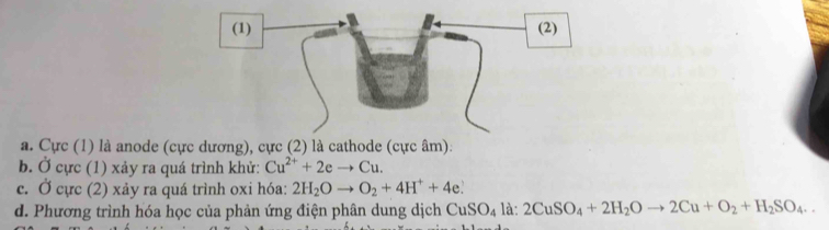 a. Cực (1) là anode (cực dương), cực (2) là cathode (cực âm).
b. Ở cực (1) xảy ra quá trình khử: Cu^(2+)+2eto Cu.
c. Ở cực (2) xảy ra quá trình oxi hóa: 2H_2Oto O_2+4H^++4e.
d. Phương trình hóa học của phản ứng điện phân dung dịch CuSO_4la:2CuSO_4+2H_2Oto 2Cu+O_2+H_2SO_4.