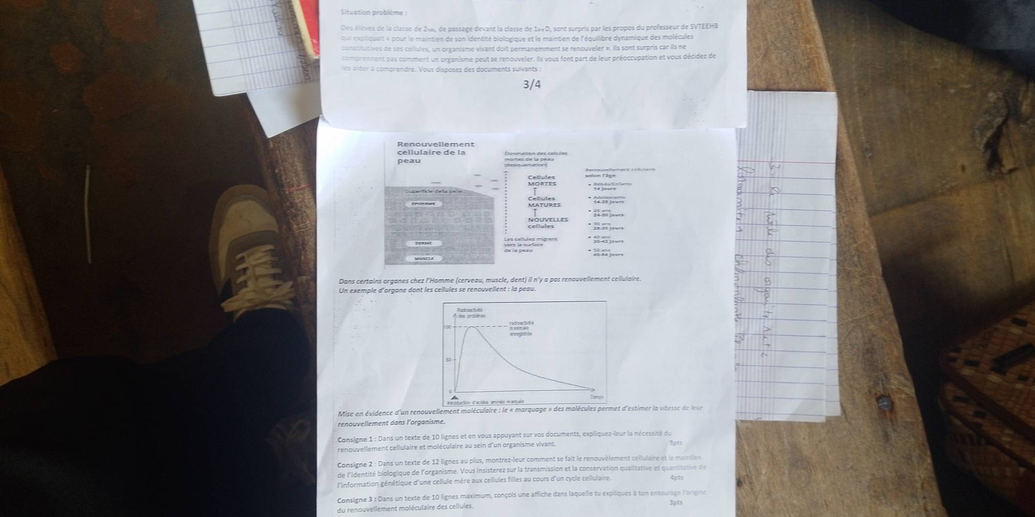 Des élèves de la classe de 244, de passage devant la classe de  1é«  D, sont surpris par les propos du professeur de SVTEEHB
qui expliquait « pour le maintien de son identité biologique et le maintien de l'équilibre dynamique des molécules
constitutives de ses cellules, un organisme vivant doit permanemment se renouveler ». Ils sont surpris car ils ne
comprenment pas comment un organisme peut se renouveler. Ils vous font part de leur préoccupation et vous décidez de
les alder à comprendre. Vous disposez des documents suivants 
Renouvellement
cellulaire de la
peau
* A   
NOUVELLES
C  sun
· ]ours
Dans certains organes chez l’Homme (cerveau, muscle, dent) il n'y a pas renouvellement cellulaire.
Un exemple d'organe dont les cellules se renouvellent : la peau.
duction d'acides aminés marqués
Mise en évidence d'un renouvellement moléculaire : le « marquage » des molécules permet d'estimer la vitesse de leur
renouvellement dans l'organisme.
Consigne 1 : Dans un texte de 10 lignes et en vous appuyant sur vos documents, expliquez-leur la nécessité du
renouvellement cellulaire et moléculaire au sein d'un organisme vivant.
Consigne 2 : Dans un texte de 12 lignes au plus, montrez-leur comment se fait le renouvèlement cellulaire et le maintien
de l'identité biologique de l'organisme. Vous insisterez sur la transmission et la conservation qualitative et quantitative de
d'information génétique d'une cellule mère aux cellules filles au cours d'un cycle cellulaire.
Consigne 3 : Dans un texte de 10 lignes maximum, conçois une affiche dans laquelle tu expliques à ton entourage l'origine
du renouvellement moléculaire des cellules. 3pts