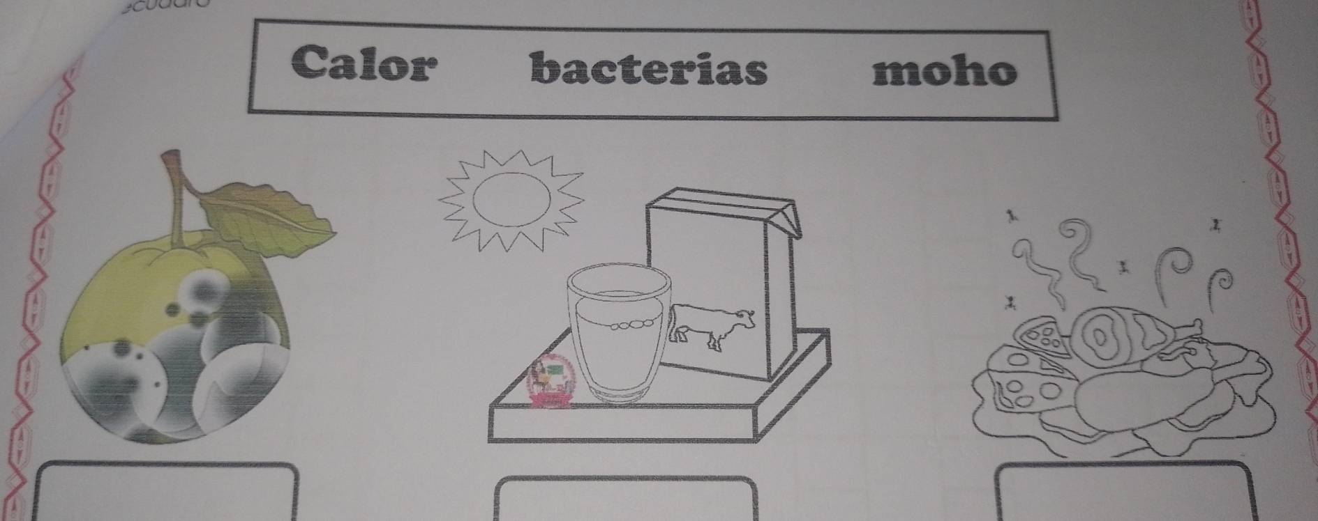 Calor bacterias moho
x