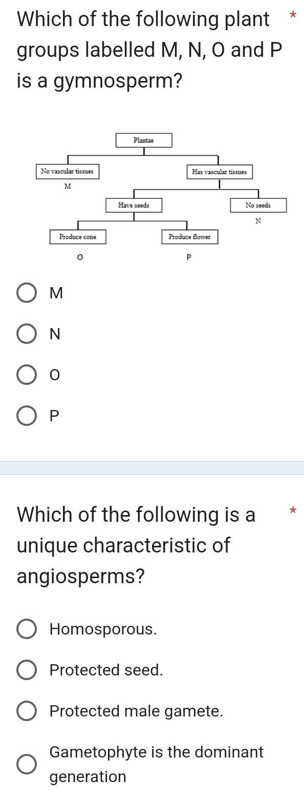 Which of the following plant *
groups labelled M, N, O and P
is a gymnosperm?
M
N
0
P
Which of the following is a *
unique characteristic of
angiosperms?
Homosporous.
Protected seed.
Protected male gamete.
Gametophyte is the dominant
generation