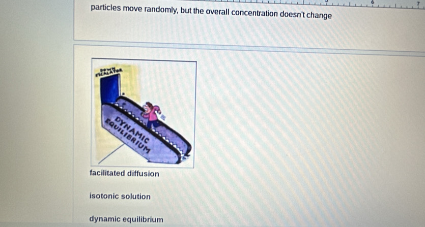 particles move randomly, but the overall concentration doesn't change
facilitated diffusion
isotonic solution
dynamic equilibrium