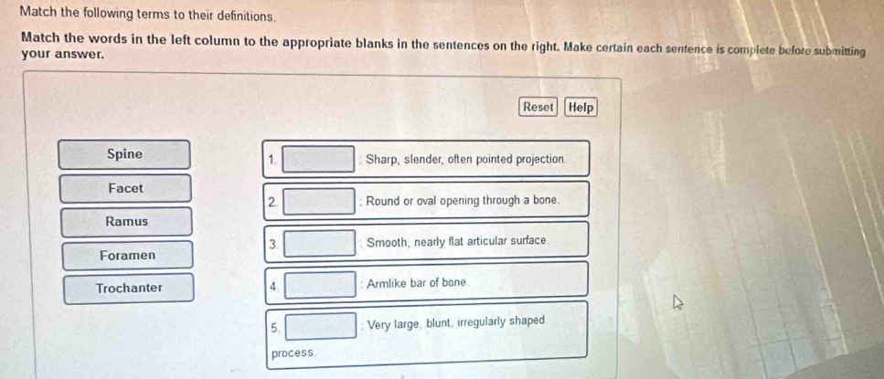 Match the following terms to their definitions. 
Match the words in the left column to the appropriate blanks in the sentences on the right. Make certain each sentence is complete before submitting 
your answer. 
Reset Help 
Spine Sharp, slender, often pointed projection 
1. 
Facet 
2 Round or oval opening through a bone. 
Ramus 
3 
Foramen Smooth, nearly flat articular surface 
Trochanter 4 : Armlike bar of bone 
5. : Very large, blunt, irregularly shaped 
process.