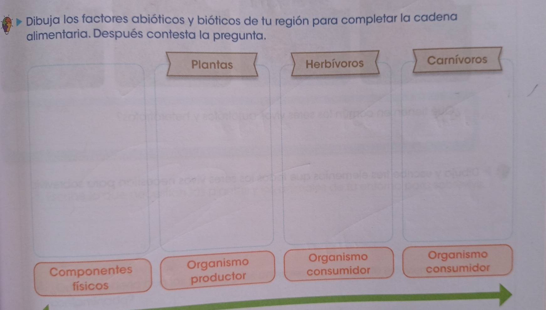 Dibuja los factores abióticos y bióticos de tu región para completar la cadena
alimentaria. Después contesta la pregunta.
Plantas Herbívoros Carnívoros
Componentes Organismo
Organismo Organismo
consumidor consumidor
físicos
productor