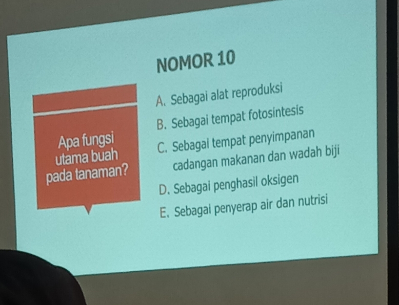 NOMOR 10
A. Sebagai alat reproduksi
B. Sebagai tempat fotosintesis
Apa fungsi
utama buah C. Sebagai tempat penyimpanan
pada tanaman? cadangan makanan dan wadah biji
D. Sebagai penghasil oksigen
E. Sebagai penyerap air dan nutrisi