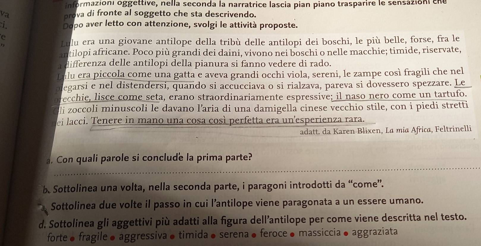 informazioni oggettive, nella seconda la narratrice lascia pian piano trasparire le sensazioni che
va prova di fronte al soggetto che sta descrivendo.
i. Dopo aver letto con attenzione, svolgi le attività proposte.
e
,
Lulu era una giovane antilope della tribù delle antilopi dei boschi, le più belle, forse, fra le
antilopi africane. Poco più grandi dei daini, vivono nei boschi o nelle macchie; timide, riservate,
a differenza delle antilopi della pianura si fanno vedere di rado.
Lulu era piccola come una gatta e aveva grandi occhi viola, sereni, le zampe così fragili che nel
plegarsi e nel distendersi, quando si accucciava o si rialzava, pareva si dovessero spezzare. Le
recchie, lisce come seta, erano straordinariamente espressive; il naso nero come un tartufo.
li zoccoli minuscoli le davano l’aria di una damigella cinese vecchio stile, con i piedi stretti
ei lacci. Tenere in mano una cosa così perfetta era unesperienza rara.
adatt. da Karen Blixen, La mia Africa, Feltrinelli
_
a. Con quali parole si conclude la prima parte?
b. Sottolinea una volta, nella seconda parte, i paragoni introdotti da “come”.
Sottolinea due volte il passo in cui l’antilope viene paragonata a un essere umano.
d. Sottolinea gli aggettivi più adatti alla figura dell’antilope per come viene descritta nel testo.
forte● fragile● aggressiva● timida● serena● feroce● massiccia● aggraziata