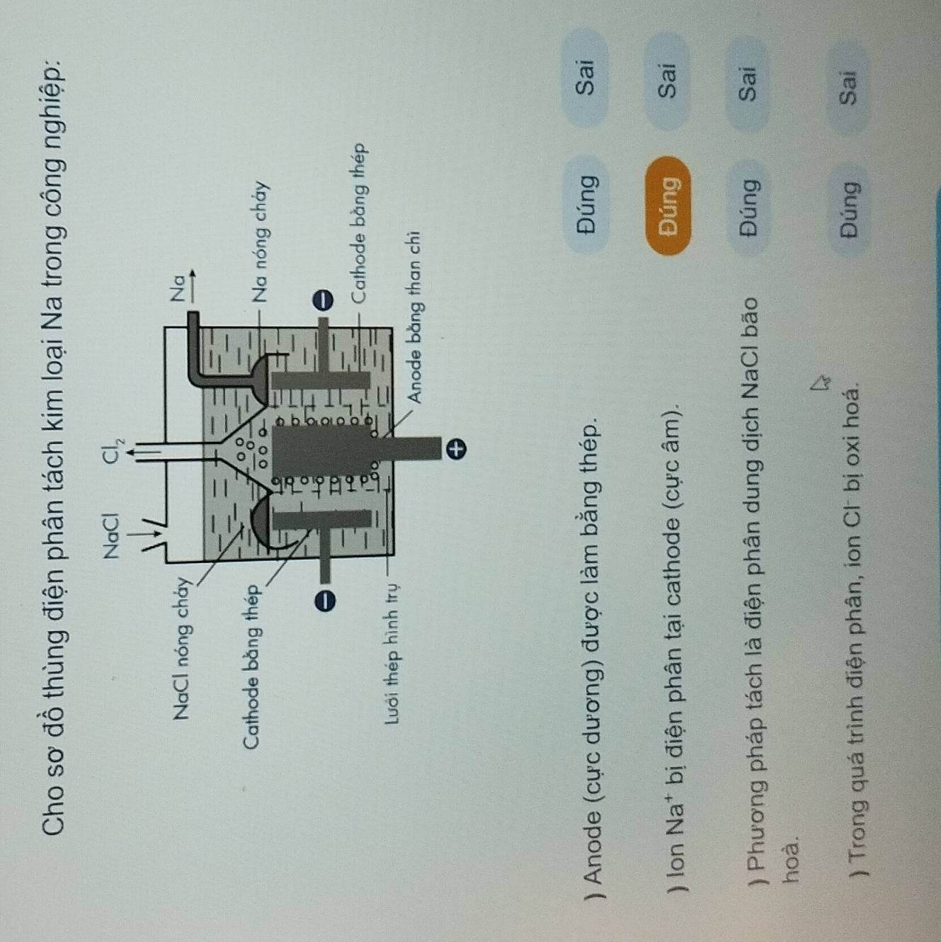 Cho sơ đồ thùng điện phân tách kim loại Na trong công nghiệp:
) Anode (cực dương) được làm bằng thép. Đúng
Sai
) Ion Na* bị điện phân tại cathode (cực âm). Đúng Sai
) Phương pháp tách là điện phân dung dịch NaCI bão Đúng Sai
hoà.
) Trong quá trình điện phân, ion Cl bị oxi hoá. Đúng Sai
