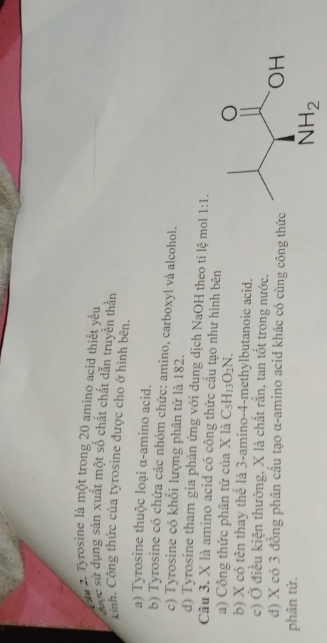 àu 2. Tyrosine là một trong 20 amino acid thiết yếu
được sử dụng sản xuất một số chất chất dẫn truyền thần
Kỉnh. Công thức của tyrosine được cho ở hình bên.
a) Tyrosine thuộc loại α-amino acid.
b) Tyrosine có chứa các nhóm chức: amino, carboxyl và alcohol.
c) Tyrosine có khối lượng phân tử là 182.
d) Tyrosine tham gia phản ứng với dụng dịch NaOH theo ti lệ mol 1:1.
Câu 3. X là amino acid có công thức cấu tạo như hình bên
a) Công thức phân tử của X là C_5H_13O_2N.
b) X có tên thay thể là 3-amino-4-methylbutanoic acid.
c) Ở điều kiện thường, X là chất rắn, tan tốt trong nước.
d) X có 3 đồng phân cầu tạo α-amino acid khác có cùng công thức
phân tử.