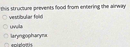 this structure prevents food from entering the airway
vestibular fold
uvula
laryngopharynx
epiglottis