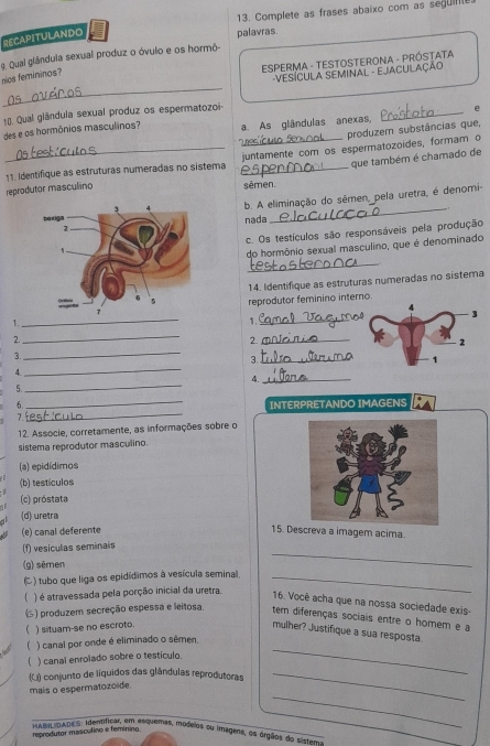 Complete as frases abaixo com as segul
RECAPITULANDO
palavras.
9. Qual glándula sexual produz o óvulo e os hormô-
ESPERMA - TESTOSTERONA - PRóSTaTa
_
nios femininos?
VESÍCULA SEMINaL - EJACULaÇÃo
_
10. Qual glândula sexual produz os espermatozoi
e
des e os hormônios masculinos? a. As glândulas anexas,
produzem substâncias que,
que também é chamado de
_11. Identifique as estruturas numeradas no sistema juntamente com os espermatozoides, formam o
reprodutor masculino sêmen.
_
b. A eliminação do sêmen, pela uretra, é denomi
nada
c. Os testículos são responsáveis pela produção
do hormônio sexual masculino, que é denominado
_
14. Identifique as estruturas numeradas no sisterna
reprodutor feminino interno.
_
3
1.
1._
2.
_
2._
_
2
3.
_
_3
1
4.
_
4._
5.
_
6._ INTERPRETANDO IMAGENS
7.
12. Associe, corretamente, as informações sobre o
sistema reprodutor masculino.
(a) epidídimos
(b) testículos
(c) próstata
(d) uretra
(e) canal deferente 15. Decreva a imagem acima.
(f) vesiculas seminais
(g) sēmen
_
(C ) tubo que liga os epidídimos à vesícula seminal,_
) é atravessada pela porção inicial da uretra.
16. Você acha que na nossa sociedade exis-
() produzem secreção espessa e leitosa. tem diferenças sociais entre o homem e a
 ) situam-se no escroto
_
mulher? Justifique a sua resposta
) canal por onde é eliminado o sêmen.
) canal enrolado sobre o testículo.
(L) conjunto de líquidos das glândulas reprodutoras_
mais o espermatozoide.
IABILDADE s : identificar, em esquemas, modeios su imageos, os órgãos do sistam
reprodutor masculino e feminino.
_