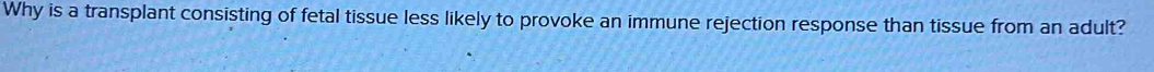 Why is a transplant consisting of fetal tissue less likely to provoke an immune rejection response than tissue from an adult?
