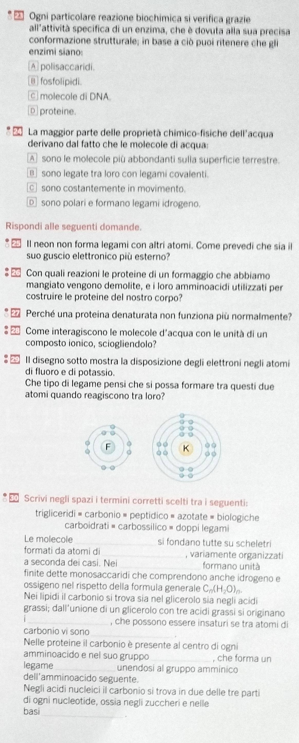 Ogni particolare reazione biochimica si verifica grazie
all'attività specifica di un enzima, che è dovuta alla sua precisa
conformazione strutturale; in base a ciò puoi ritenere che gli
enzimi siano:
A polisaccaridi.
θ fosfolipidi.
c molecole di DNA.
p proteine.
24 La maggior parte delle proprietà chimico-fisiche dell'acqua
derivano dal fatto che le molecole di acqua:
A] sono le molecole più abbondanti sulla superficie terrestre.
B sono legate tra loro con legami covalenti
c] sono costantemente in movimento.
Dsono polari e formano legami idrogeno.
Rispondi alle seguenti domande.
ll neon non forma legami con altri atomi. Come prevedi che sia il
suo guscio elettronico più esterno?
Con quali reazioni le proteine di un formaggio che abbíamo
mangiato vengono demolite, e i loro amminoacidi utilizzati per
costruire le proteine del nostro corpo?
Perché una proteina denaturata non funziona più normalmente?
Come interagiscono le molecole d'acqua con le unità di un
composto ionico, sciogliendolo?
Il disegno sotto mostra la disposizione degli elettroni negli atomi
di fluoro e di potassio.
Che tipo di legame pensi che si possa formare tra questi due
atomi quando reagiscono tra loro?
.
I F
o
Scrivi negli spazi i termini corretti scelti tra i seguenti:
trigliceridi = carbonio = peptidico = azotate = biologiche
carboidrati ≡ carbossílico = doppi legami
Le molecole _si fondano tutte su scheletri
formati da atomi di _, variamente organizzati
a seconda dei casi. Nei _formano unità
finite dette monosaccaridi che comprendono anche idrogeno e
ossigeno nel rispetto della formula generale C_n(H_2O),
Nei lipidi il carbonio si trova sia nel glicerolo sia negli acidi
grassi; dall’unione di un glicerolo con tre acidi grassi si originano
_, che possono essere insaturi se tra atomi di
carbonio vi sono
Nelle proteine il carbonio è presente al centro di ogni
amminoacido e nel suo gruppo_ , che forma un
legame_ unendosi al gruppo amminico
dell'amminoacido seguente.
Negli acidi nucleici il carbonio si trova in due delle tre parti
di ogni nucleotide, ossia negli zuccheri e nelle
basi_