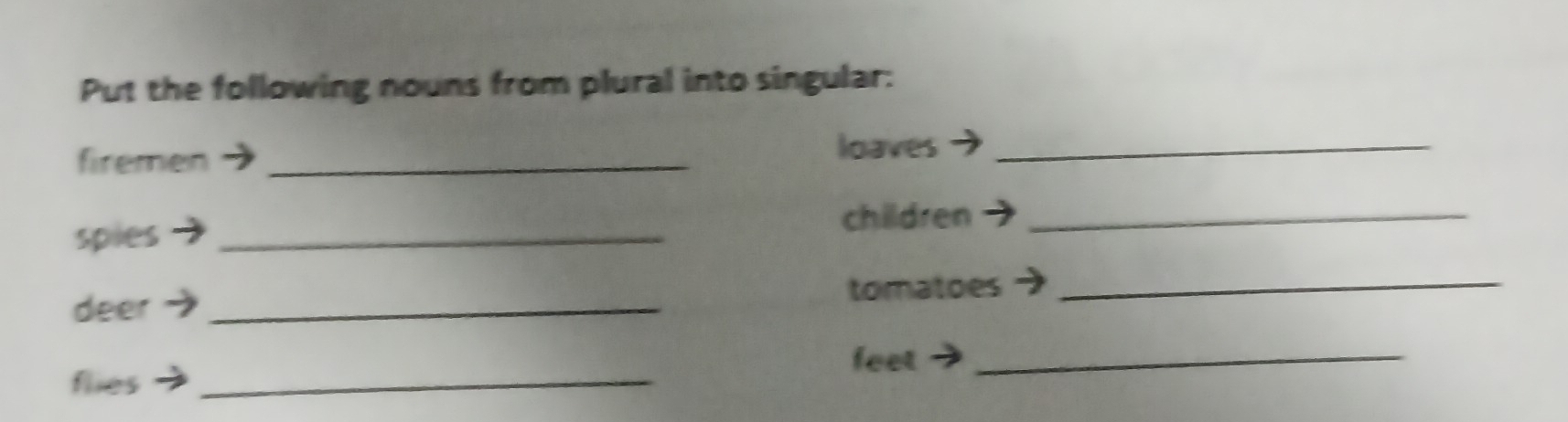 Put the following nouns from plural into singular: 
firemen_ 
loaves_ 
spies_ 
children_ 
deer _tomatoes_ 
feet_ 
flies_