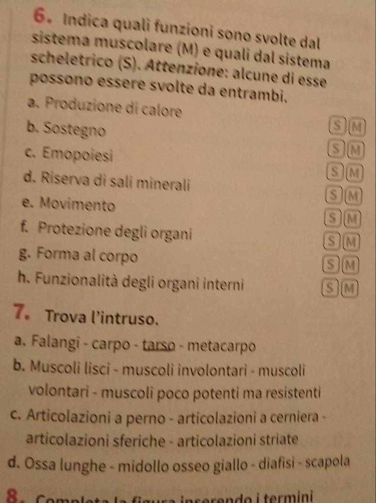 6。 Indica quali funzioni sono svolte dal
sistema muscolare (M) e quali dal sistema
scheletrico (S). Attenzione: alcune di esse
possono essère svolte da entrambi.
a. Produzione di calore
b. Sostegno
SM
SM
c. Emopoiesi S M
d. Riserva di sali minerali
SIM
e. Movimento SM
f. Protezione degli organi
SM
g. Forma al corpo
SM
h. Funzionalità degli organi interni
SM
7。 Trova l'intruso.
a. Falangi - carpo - tarso - metacarpo
b. Muscoli lisci - muscoli involontari - muscoli
volontari - muscoli poco potenti ma resistenti
c. Articolazioni a perno - articolazioni a cerniera -
articolazioni sferiche - articolazioni striate
d. Ossa lunghe - midollo osseo giallo - diafisi - scapola
8. Completa inserendo i termini