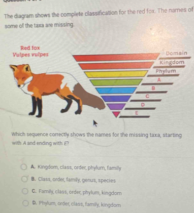 Solved: The diagram shows the complete classification for the red fox ...