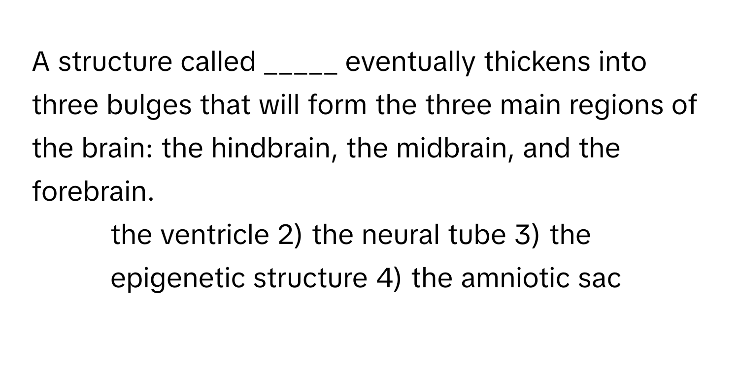 A structure called _____ eventually thickens into three bulges that will form the three main regions of the brain: the hindbrain, the midbrain, and the forebrain.

1) the ventricle 2) the neural tube 3) the epigenetic structure 4) the amniotic sac