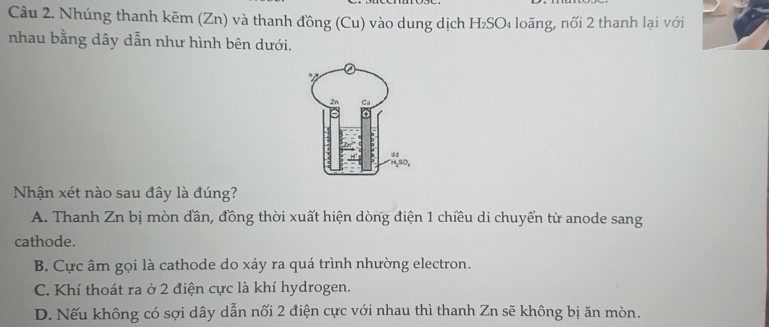 Nhúng thanh kẽm (Zn) và thanh đồng (Cu) vào dung dịch H₂SO₄ loãng, nối 2 thanh lại với
nhau bằng dây dẫn như hình bên dưới.
Nhận xét nào sau đây là đúng?
A. Thanh Zn bị mòn dần, đồng thời xuất hiện dòng điện 1 chiều di chuyển từ anode sang
cathode.
B. Cực âm gọi là cathode do xảy ra quá trình nhường electron.
C. Khí thoát ra ở 2 điện cực là khí hydrogen.
D. Nếu không có sợi dây dẫn nối 2 điện cực với nhau thì thanh Zn sẽ không bị ăn mòn.