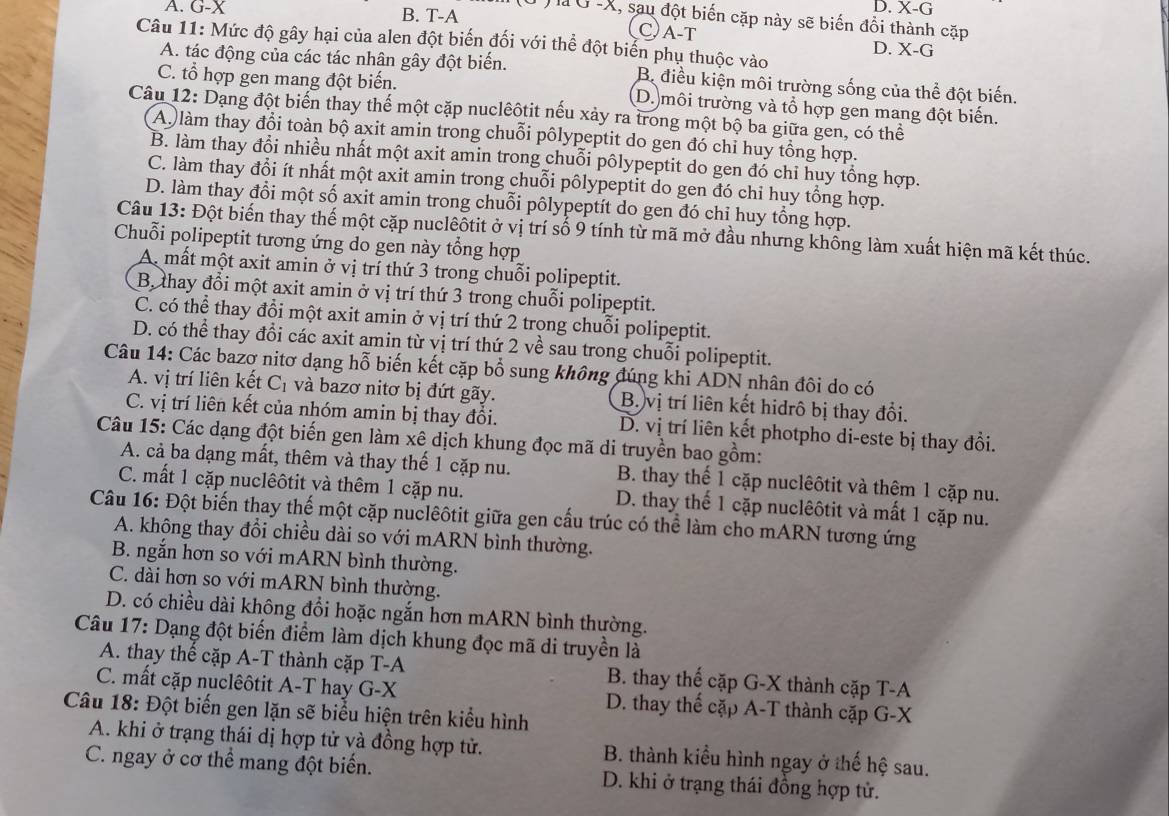 D. X-G
A. G-X B. T-A Cat
Tà Ở -X, sau đột biến cặp này sẽ biến đồi thành cặp
Câu 11: Mức độ gây hại của alen đột biến đối với thể đột biển phụ thuộc vào
D. X-G
A. tác động của các tác nhân gây đột biến. Bộ điều kiện môi trường sống của thể đột biến.
C. tổ hợp gen mang đột biến. D. môi trường và tổ hợp gen mang đột biến.
Câu 12: Dạng đột biển thay thế một cặp nuclêôtit nếu xảy ra trong một bộ ba giữa gen, có thể
A. làm thay đổi toàn bộ axit amin trong chuỗi pôlypeptit do gen đó chỉ huy tổng hợp.
B. làm thay đổi nhiều nhất một axit amin trong chuỗi pôlypeptit do gen đó chỉ huy tổng hợp.
C. làm thay đổi ít nhất một axit amin trong chuỗi pôlypeptit do gen đó chỉ huy tổng hợp.
D. làm thay đổi một số axit amin trong chuỗi pôlypeptít do gen đó chỉ huy tổng hợp.
Câu 13: Đột biến thay thế một cặp nuclêôtit ở vị trí số 9 tính từ mã mở đầu nhưng không làm xuất hiện mã kết thúc.
Chuỗi polipeptit tương ứng do gen này tổng hợp
A. mất một axit amin ở vị trí thứ 3 trong chuỗi polipeptit.
B, thay đổi một axit amin ở vị trí thứ 3 trong chuỗi polipeptit.
C. có thể thay đổi một axit amin ở vị trí thứ 2 trong chuỗi polipeptit.
D. có thể thay đổi các axit amin từ vị trí thứ 2 về sau trong chuỗi polipeptit.
Câu 14: Các bazơ nitơ dạng hỗ biến kết cặp bổ sung không đúng khi ADN nhân đôi do có
A. vị trí liên kết C_1 và bazơ nitơ bị đứt gãy. B. vị trí liên kết hidrô bị thay đổi.
C. vị trí liên kết của nhóm amin bị thay đổi. D. vị trí liên kết photpho di-este bị thay đồi.
Câu 15: Các dạng đột biến gen làm xê dịch khung đọc mã di truyền bao gồm:
A. cả ba dạng mất, thêm và thay thế 1 cặp nu. B. thay thế 1 cặp nuclêôtit và thêm 1 cặp nu.
C. mất 1 cặp nuclêôtit và thêm 1 cặp nu. D. thay thế 1 cặp nuclêôtit và mất 1 cặp nu.
Câu 16: Đột biến thay thế một cặp nuclêôtit giữa gen cấu trúc có thể làm cho mARN tương ứng
A. không thay đổi chiều dài so với mARN bình thường.
B. ngắn hơn so với mARN bình thường.
C. dài hơn so với mARN bình thường.
D. có chiều dài không đổi hoặc ngắn hơn mARN bình thường.
Câu 17: Dạng đột biến điểm làm dịch khung đọc mã di truyền là
A. thay thế cặp A-T thành cặp T-A B. thay thế cặp G-X thành cặp T-A
C. mất cặp nuclêôtit A-T hay G-X D. thay thế cặp A-T thành cặp G-X
Câu 18: Đột biến gen lặn sẽ biểu hiện trên kiểu hình
A. khi ở trạng thái dị hợp tử và đồng hợp tử. B. thành kiểu hình ngay ở thế hệ sau.
C. ngay ở cơ thể mang đột biến. D. khi ở trạng thái đồng hợp tử.
