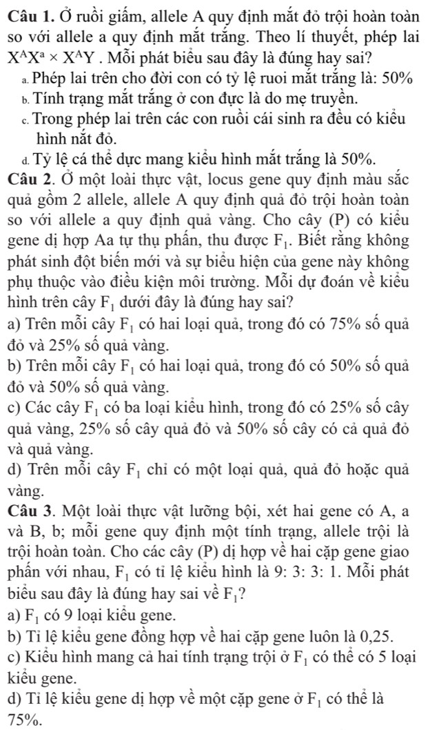 Ở ruồi giấm, allele A quy định mắt đỏ trội hoàn toàn
so với allele a quy định mắt trắng. Theo lí thuyết, phép lai
X^AX^a* X^AY. Mỗi phát biểu sau đây là đúng hay sai?
* Phép lai trên cho đời con có tỷ lệ ruoi mắt trắng là: 50%
B Tính trạng mắt trắng ở con đực là do mẹ truyền.
: Trong phép lai trên các con ruồi cái sinh ra đều có kiểu
hình nắt đỏ.
đ Tỷ lệ cá thể dực mang kiểu hình mắt trắng là 50%.
Câu 2. Ở một loài thực vật, locus gene quy định màu sắc
quả gồm 2 allele, allele A quy định quả đỏ trội hoàn toàn
so với allele a quy định quả vàng. Cho cây (P) có kiều
gene dị hợp Aa tự thụ phẩn, thu được F_1. Biết rằng không
phát sinh đột biến mới và sự biểu hiện của gene này không
phụ thuộc vào điều kiện môi trường. Mỗi dự đoán về kiểu
hình trên cây F_1 dưới đây là đúng hay sai?
a) Trên mỗi cây F_1 có hai loại quả, trong đó có 75% số quả
đỏ và 25% số quả vàng.
b) Trên mỗi cây F_1 có hai loại quả, trong đó có 50% số quả
đỏ và 50% số quả vàng.
c) Các cây F_1 có ba loại kiểu hình, trong đó có 25% số cây
quả vàng, 25% số cây quả đỏ và 50% số cây có cả quả đỏ
và quả vàng.
d) Trên mỗi cây F_1 chỉ có một loại quả, quả đỏ hoặc quả
vàng.
Câu 3. Một loài thực vật lưỡng bội, xét hai gene có A, a
và B, b; mỗi gene quy định một tính trạng, allele trội là
trội hoàn toàn. Cho các cây (P) dị hợp về hai cặp gene giao
phần với nhau, F_1 có tỉ lệ kiểu hình là 9: 3: 3: 1. Mỗi phát
biểu sau đây là đúng hay sai về F_1 ?
a) F_1 có 9 loại kiểu gene.
b) Ti lệ kiểu gene đồng hợp về hai cặp gene luôn là 0,25.
c) Kiểu hình mang cả hai tính trạng trội ở F_1 có thể có 5 loại
kiểu gene.
d) Ti lệ kiểu gene dị hợp về một cặp gene ở F_1 có thể là
75%.