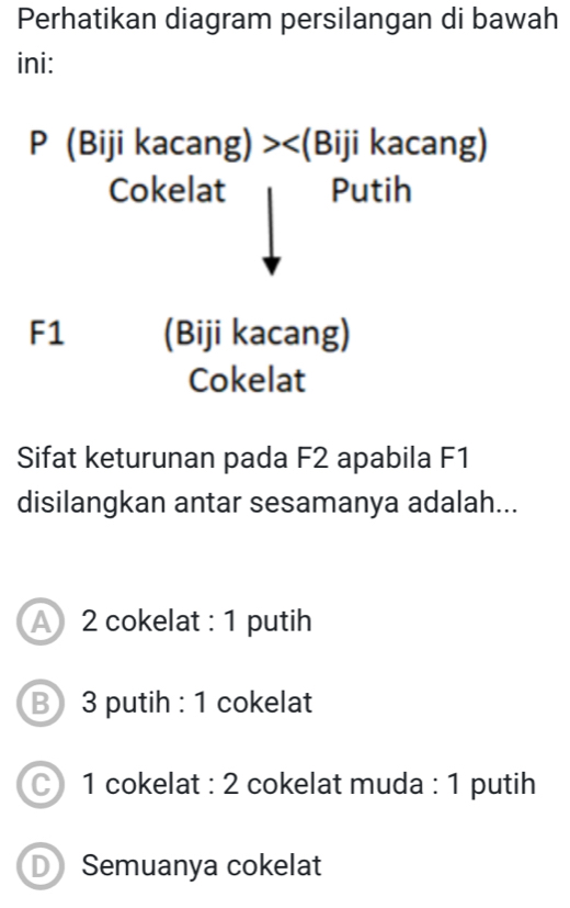 Perhatikan diagram persilangan di bawah
ini:
P(Bijikacang)>∠ (Biji kac ang)
Cokelat Putil 
F1 (Biji kacang)
Cokelat
Sifat keturunan pada F2 apabila F1
disilangkan antar sesamanya adalah...
A 2 cokelat : 1 putih
B 3 putih : 1 cokelat
1 cokelat : 2 cokelat muda : 1 putih
D Semuanya cokelat