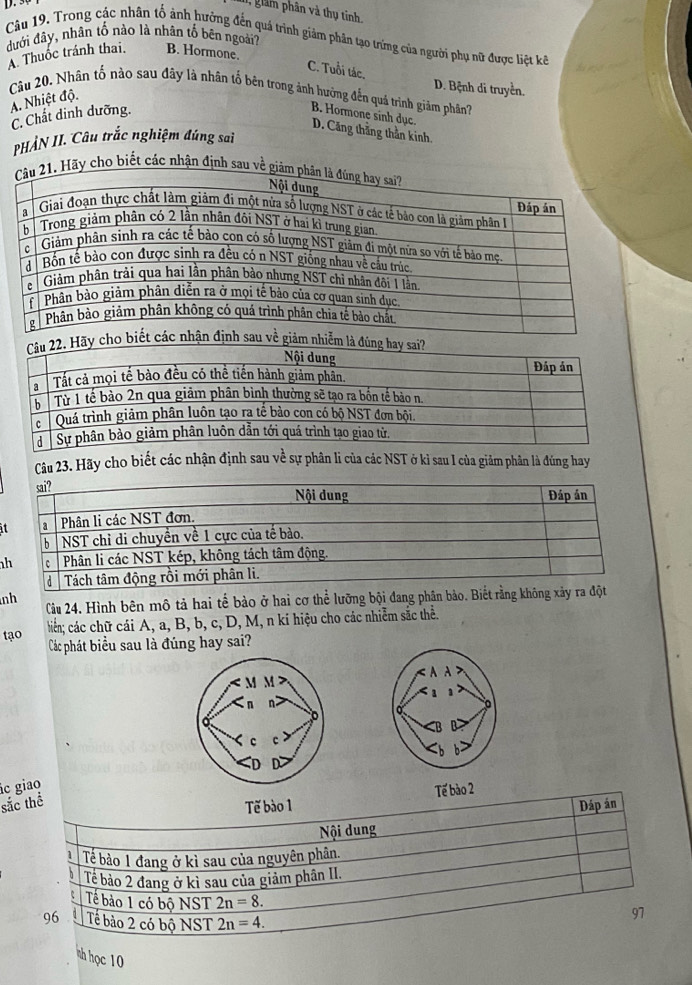 gâm phân và thụ tinh.
Câu 19. Trong các nhân tố ảnh hưởng đến quả trình giảm phân tạo trừng của người phụ nữ được liệt kế
đưới đây, nhân tố nào là nhân tố bên ngoài?
A. Thuốc tránh thai B. Hormone.
C. Tuổi tác.
D. Bệnh di truyền.
Cầu 20, Nhân tổ nào sau đây là nhân tố bên trong ảnh hưởng đến quả trình giảm phân?
A. Nhiệt độ.
C. Chất dinh dưỡng.
B. Hormone sinh dục.
D. Căng thằng thần kinh,
PHẢN II. Câu trắc nghiệm đúng sai
Hãy cho biết các nhận định sau về 
ciễ
Câu 23. Hãy cho biết các nhận định sau về sự phân li của các NST ở kỉ sau I của giâm phân là đúng hay
it
h
Cu 24. Hình bên mô tả hai tế bảo ở hai cơ thể lưỡng bội đang phân bảo. Biết rằng 
tạo biến; các chữ cái A, a, B, b, c, D, M, n kí hiệu cho các nhiễm sắc thể.
Các phát biểu sau là đúng hay sai?

ác giao
sắc thể
Tế bào 1 Tế bào 2
Nội dung Dáp án
Tế bào 1 đang ở kì sau của nguyên phân.
Tề bảo 2 đang ở kì sau của giảm phân II.
Tế bảo 1 có bộ NST 2n=8.
96 Tế bào 2 có bộ NST 2n=4.
97
% h học 10