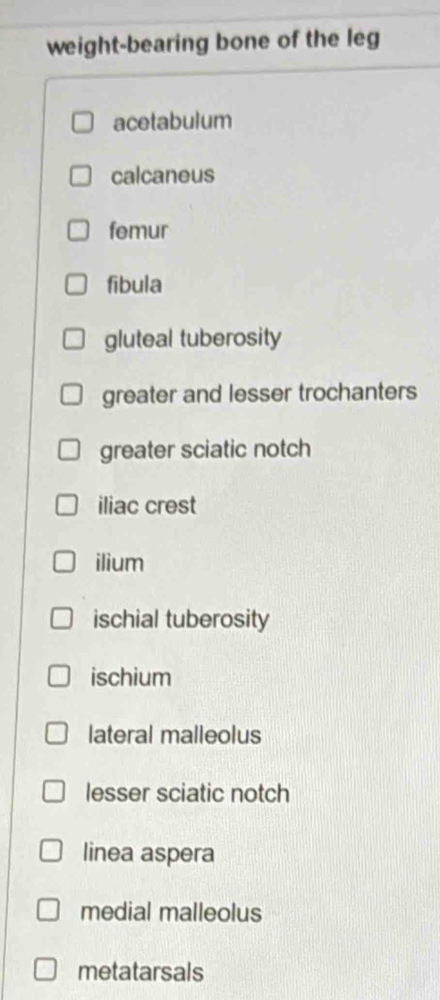 weight-bearing bone of the leg
acetabulum
calcaneus
femur
fibula
gluteal tuberosity
greater and lesser trochanters
greater sciatic notch
iliac crest
ilium
ischial tuberosity
ischium
lateral malleolus
lesser sciatic notch
linea aspera
medial malleolus
metatarsals