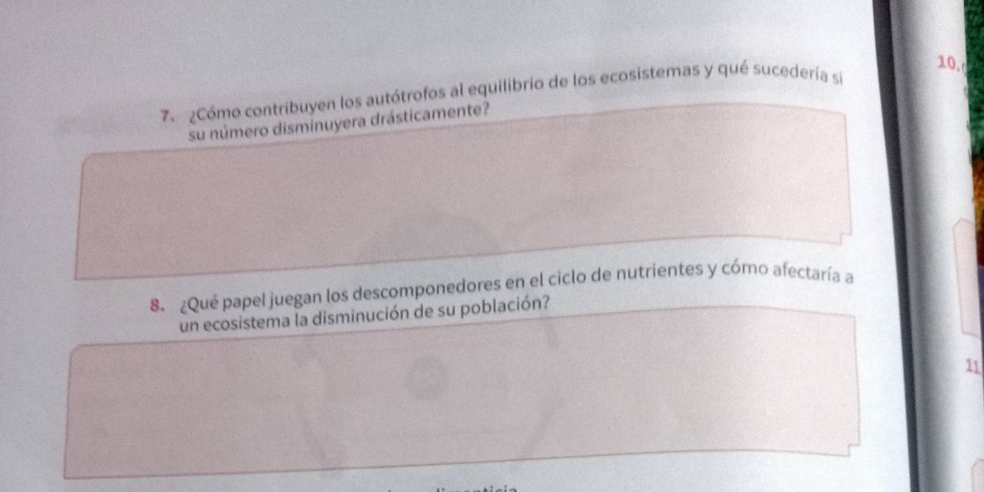 7 ¿Cómo contribuyen los autótrofos al equilibrio de los ecosistemas y qué sucedería si 
su número disminuyera drásticamente? 
8. ¿Qué papel juegan los descomponedores en el ciclo de nutrientes y cómo afectaría a 
un ecosistema la disminución de su población? 
11