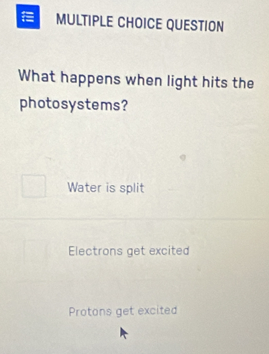 QUESTION
What happens when light hits the
photosystems?
Water is split
Electrons get excited
Protons get excited