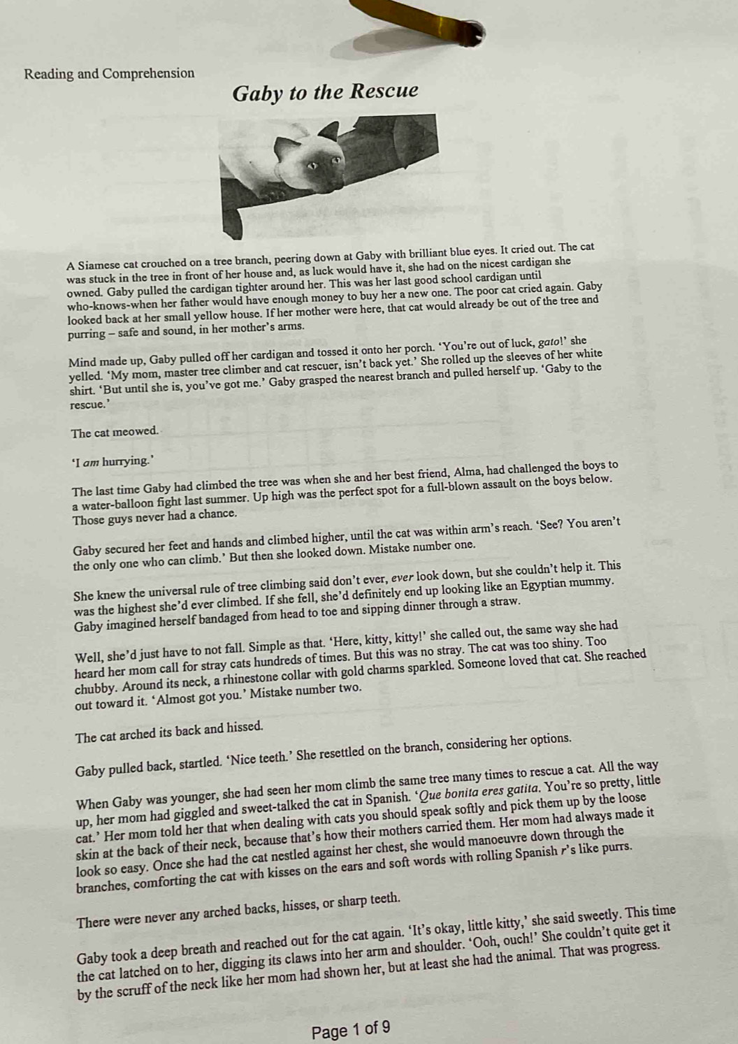 Reading and Comprehension
Gaby to the Rescue
A Siamese cat crouched on a tree branch, peering down at Gaby with brilliant blue eyes. It cried out. The cat
was stuck in the tree in front of her house and, as luck would have it, she had on the nicest cardigan she
owned. Gaby pulled the cardigan tighter around her. This was her last good school cardigan until
who-knows-when her father would have enough money to buy her a new one. The poor cat cried again. Gaby
looked back at her small yellow house. If her mother were here, that cat would already be out of the tree and
purring - safe and sound, in her mother’s arms.
Mind made up, Gaby pulled off her cardigan and tossed it onto her porch. ‘You’re out of luck, gato!’ she
yelled. ‘My mom, master tree climber and cat rescuer, isn’t back yet.’ She rolled up the sleeves of her white
shirt. ‘But until she is, you’ve got me.’ Gaby grasped the nearest branch and pulled herself up. ‘Gaby to the
rescue.’
The cat meowed.
‘I am hurrying.’
The last time Gaby had climbed the tree was when she and her best friend, Alma, had challenged the boys to
a water-balloon fight last summer. Up high was the perfect spot for a full-blown assault on the boys below.
Those guys never had a chance.
Gaby secured her feet and hands and climbed higher, until the cat was within arm’s reach. ‘See? You aren’t
the only one who can climb.’ But then she looked down. Mistake number one.
She knew the universal rule of tree climbing said don’t ever, ever look down, but she couldn’t help it. This
was the highest she’d ever climbed. If she fell, she’d definitely end up looking like an Egyptian mummy.
Gaby imagined herself bandaged from head to toe and sipping dinner through a straw.
Well, she’d just have to not fall. Simple as that. ‘Here, kitty, kitty!’ she called out, the same way she had
heard her mom call for stray cats hundreds of times. But this was no stray. The cat was too shiny. Too
chubby. Around its neck, a rhinestone collar with gold charms sparkled. Someone loved that cat. She reached
out toward it. ‘Almost got you.’ Mistake number two.
The cat arched its back and hissed.
Gaby pulled back, startled. ‘Nice teeth.’ She resettled on the branch, considering her options.
When Gaby was younger, she had seen her mom climb the same tree many times to rescue a cat. All the way
up, her mom had giggled and sweet-talked the cat in Spanish. ‘Que bonita eres gatita. You’re so pretty, little
cat.’ Her mom told her that when dealing with cats you should speak softly and pick them up by the loose
skin at the back of their neck, because that’s how their mothers carried them. Her mom had always made it
look so easy. Once she had the cat nestled against her chest, she would manoeuvre down through the
branches, comforting the cat with kisses on the ears and soft words with rolling Spanish r’s like purrs.
There were never any arched backs, hisses, or sharp teeth.
Gaby took a deep breath and reached out for the cat again. ‘It’s okay, little kitty,’ she said sweetly. This time
the cat latched on to her, digging its claws into her arm and shoulder. ‘Ooh, ouch!’ She couldn’t quite get it
by the scruff of the neck like her mom had shown her, but at least she had the animal. That was progress.
Page 1 of 9