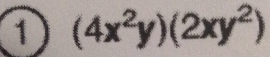 1 (4x^2y)(2xy^2)