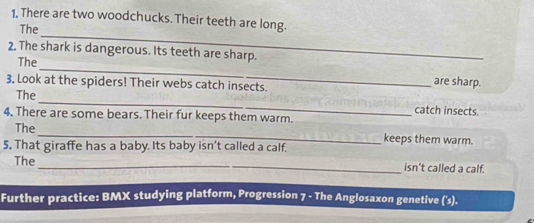 There are two woodchucks. Their teeth are long. 
_ 
The 
2. The shark is dangerous. Its teeth are sharp. 
_ 
The 
3. Look at the spiders! Their webs catch insects. 
are sharp. 
_ 
The 
catch insects. 
4. There are some bears. Their fur keeps them warm. 
The_ keeps them warm. 
5. That giraffe has a baby. Its baby isn’t called a calf. 
The_ isn’t called a calf. 
Further practice: BMX studying platform, Progression 7 - The Anglosaxon genetive ('s).