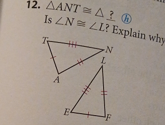 △ ANT≌ △ h
Is ∠ N≌ ∠ L ? Explain why