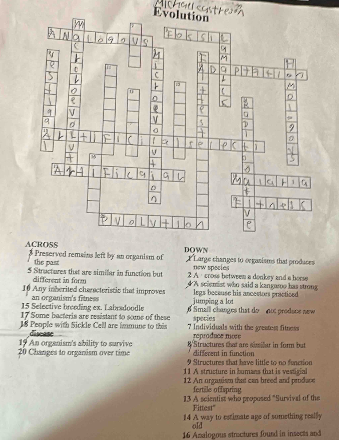 ACROSS DOWN
$ Preserved remains left by an organism of : Large changes to organisms that produces
the past new species
5 Structures that are similar in function but 2 A · cross between a donkey and a horse
different in form 4 A scientist who said a kangaroo has strong
10 Any inherited characteristic that improves legs because his ancestors practiced
an organism's fitness jumping a lot
15 Selective breeding ex. Labradoodle Small changes that do not produce new
17 Some bacteria are resistant to some of these species
18 People with Sickle Cell are immune to this 7 Individuals with the greatest fitness
disease reproduce more
19 An organism's ability to survive 8 Structures that are similar in form but
20 Changes to organism over time different in function
9 Structures that have little to no function
11 A structure in humans that is vestigial
12 An organism that can breed and produce
fertile offspring
13 A scientist who proposed "Survival of the
Fittest"
14 A way to estimate age of something really
old
16 Analogous structures found in insects and