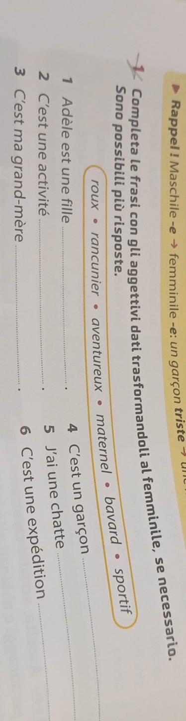 Rappel ! Maschile -e → femminile -e: un garçon triste → u 
1 Completa le frasi con gli aggettivi dati trasformandoli al femminile, se necessario. 
Sono possibili più risposte. 
roux • rancunier • aventureux • maternel • bavard • sportif 
1 Adèle est une fille _. 4 C'est un garçon_ 
2 C’est une activité _. 5 J’ai une chatte_ 
3 C’est ma grand-mère_ 
. 6 C'est une expédition