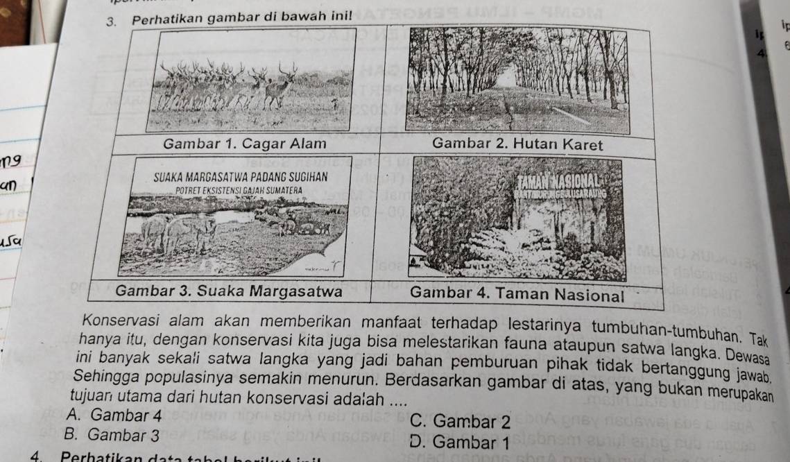 di bawah ini!
4
Konservasi alam akan memberikan manfaat terhadap lestarinya tumbuhan-tumbuhan. Tak
hanya itu, dengan konservasi kita juga bisa melestarikan fauna ataupun satwa langka. Dewasa
ini banyak sekali satwa langka yang jadi bahan pemburuan pihak tidak bertanggung jawab .
Sehingga populasinya semakin menurun. Berdasarkan gambar di atas, yang bukan merupakan
tujuan utama dari hutan konservasi adalah ....
A. Gambar 4 C. Gambar 2
B. Gambar 3 D. Gambar 1
4 Perbatika n