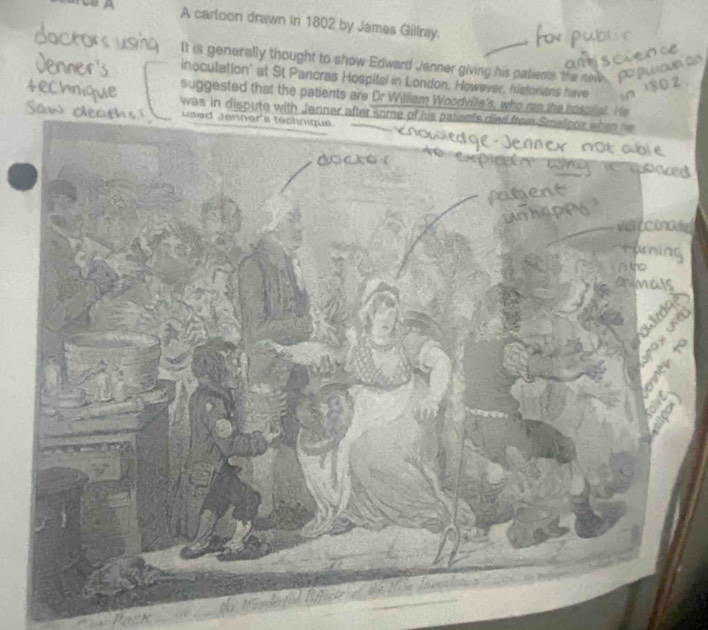 A carloon drawn in 1802 by James Gillray. 
It is generally thought to show Edward Jenner giving his patients the new . 
inoculation' at St Pancras Hospitel in London, However, historians have 
suggested that the patients are Dr William Woodville's, who ran the hosci 
was in dispute with Jenn 
e 
A