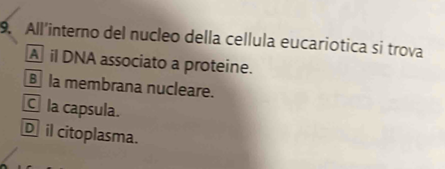 All’interno del nucleo della cellula eucariotica si trova
A il DNA associato a proteine.
§ la membrana nucleare.
la capsula.
D il citoplasma.