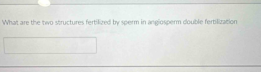 What are the two structures fertilized by sperm in angiosperm double fertilization