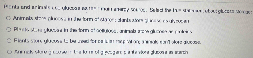 Plants and animals use glucose as their main energy source. Select the true statement about glucose storage:
Animals store glucose in the form of starch; plants store glucose as glycogen
Plants store glucose in the form of cellulose, animals store glucose as proteins
Plants store glucose to be used for cellular respiration; animals don't store glucose.
Animals store glucose in the form of glycogen; plants store glucose as starch