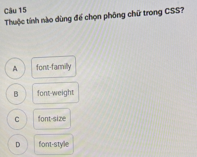 Thuộc tính nào dùng để chọn phông chữ trong CSS?
A font-family
B font-weight
C font-size
D font-style