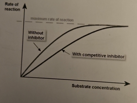 Rate of 
reaction