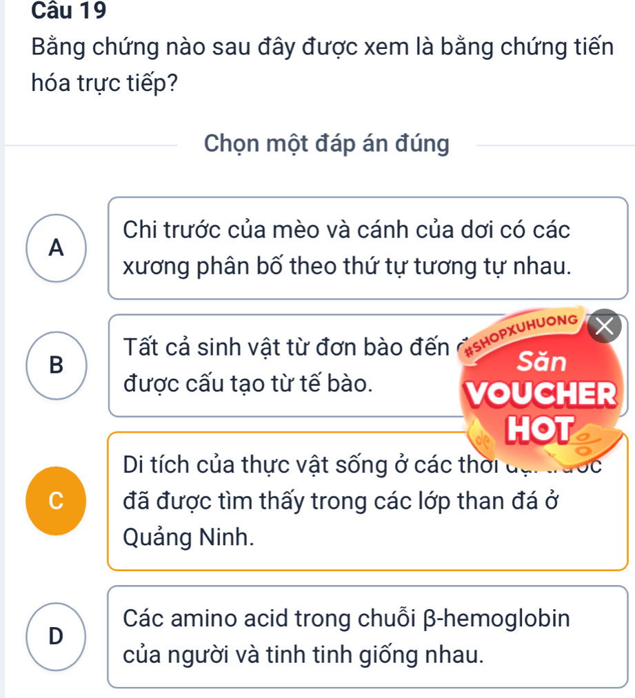 Bằng chứng nào sau đây được xem là bằng chứng tiến
hóa trực tiếp?
Chọn một đáp án đúng
Chi trước của mèo và cánh của dơi có các
A
xương phân bố theo thứ tự tương tự nhau.
Tất cả sinh vật từ đơn bào đến #SHOPXUHUONG
B Săn
được cấu tạo từ tế bào.
VOUCHER
HOT
Di tích của thực vật sống ở các thời C
, đã được tìm thấy trong các lớp than đá ở
Quảng Ninh.
Các amino acid trong chuỗi β -hemoglobin
D
của người và tinh tinh giống nhau.