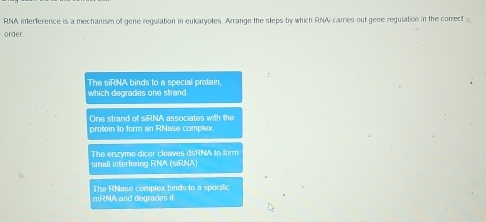 RNA interference is a mechanism of gene regulation in eukaryotes. Arrange the sleps by which RNAi carries out gene regulation in the correct 
order
The siRNA binds to a special protein.
which degrades one strand
One strand of siRNA associates with the
protein to form an RNase complex.
The enzyme dicer cleaves dsRNA to form
small interfering RNA (siRNA).
mRNA and degrades it The RNase complex binds to a specitic