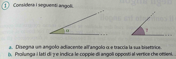 Considera i seguenti angoli. 
a. Disegna un angolo adiacente all’angolo α e traccia la sua bisettrice. 
b. Prolunga i lati diγe indica le coppie di angoli opposti al vertice che ottieni.