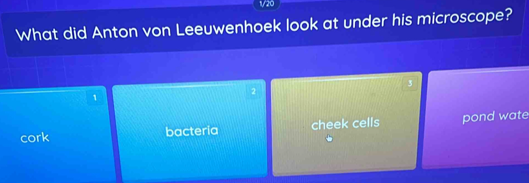 1/20
What did Anton von Leeuwenhoek look at under his microscope?
3
2
1
cork bacteria cheek cells pond wate