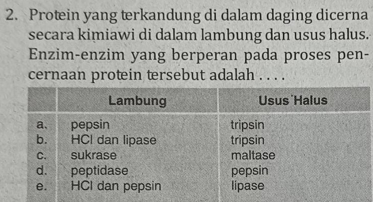 Protein yang terkandung di dalam daging dicerna 
secara kimiawi di dalam lambung dan usus halus. 
Enzim-enzim yang berperan pada proses pen- 
cernaan protein tersebut adalah . . . .