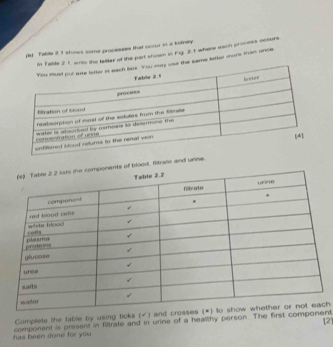 Table 2.1 shows some processes that occur in a kidney. 
In Table 2.1. wrile the letter of the part shown in Fig. 2.1 where each process occurs. 
y use the same letter more than once. 
ts of blood, filtrate and urine. 
Complete the table by using ticks (√) ah 
component is present in filtrate and in urine of a healthy person. The first comnt [2] 
has been done for you .