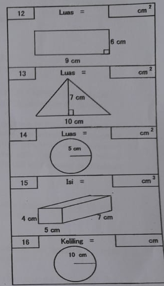 12 Luas= □  | cm^2