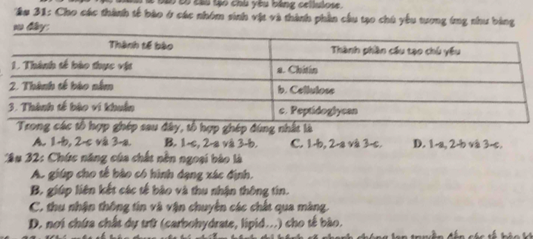 Đà Đó càu tạo chú yêu bảng cellulose.
Em 31: Cho các thành tế bào ở các nhóm sinh vật và thành phần cầu tạo chú yếu tương ứng như bảng
wo ty.
A. 1 -b, 2-c và 3 -a. B. 1 -c, 2-a và 3 -b. C. 1 -b, 2-a và 3 -c. D. 1-a, 2-b và 3 -c.
âu 32: Chức năng của chất nền ngoại bào là
A. giúp cho tế bào có hình dạng xác định,
B. giúp liên kết các tế bảo và thu nhận thông tin.
C. thu nhận thông tín và vận chuyển các chất qua màng.
D. nơi chứa chất dự trữ (carbohydrate, lipid...) cho tế bão.
ầ n đân các tế há c k