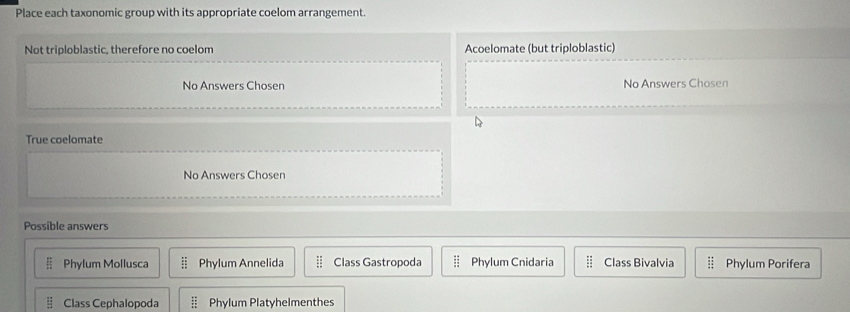 Place each taxonomic group with its appropriate coelom arrangement.
Not triploblastic, therefore no coelom Acoelomate (but triploblastic)
No Answers Chosen No Answers Chosen
True coelomate
No Answers Chosen
Possible answers
 π /15  Phylum Mollusca frac 1 Phylum Annelida  11/12  Class Gastropoda :: Phylum Cnidaria  11/11  Class Bivalvia Phylum Porifera
 12/12  Class Cephalopoda :: Phylum Platyhelmenthes