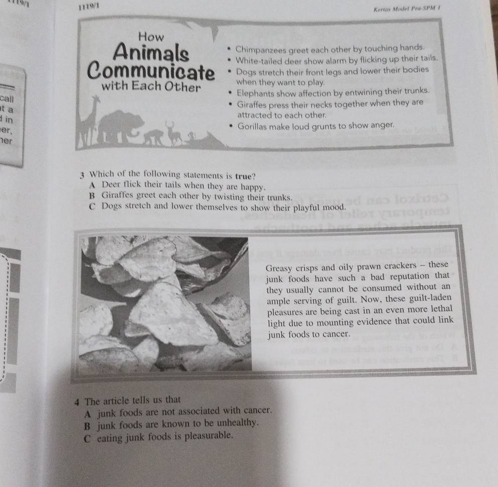 1119/1 1119/1
Kertas Modeï Pra-SPM F
How
Chimpanzees greet each other by touching hands.
Animals White-tailed deer show alarm by flicking up their tails.
Communicate Dogs stretch their front legs and lower their bodies
when they want to play.
with Each Other Elephants show affection by entwining their trunks.
call
t a
Giraffes press their necks together when they are
d in
attracted to each other.
er, Gorillas make loud grunts to show anger.
her
3 Which of the following statements is true?
A Deer flick their tails when they are happy.
B Giraffes greet each other by twisting their trunks.
C Dogs stretch and lower themselves to show their playful mood.
Greasy crisps and oily prawn crackers - these
junk foods have such a bad reputation that 
they usually cannot be consumed without an
ample serving of guilt. Now, these guilt-laden
pleasures are being cast in an even more lethal
light due to mounting evidence that could link
junk foods to cancer.
4 The article tells us that
A junk foods are not associated with cancer.
B junk foods are known to be unhealthy.
C eating junk foods is pleasurable.